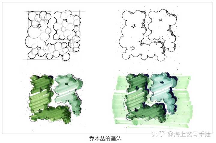 灌木丛: 灌木在1:50,1:100,1:200 等比例的平面图中可以单科表示,在1