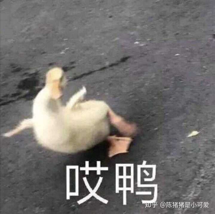 为什么现在的人都在追求沙雕?