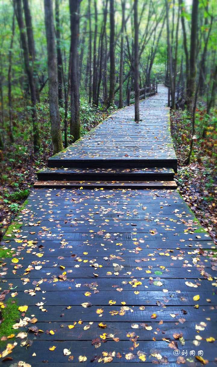 因为下过雨,空气简直清新的不要不要,那种湿漉漉的雨后景色,水流潺潺