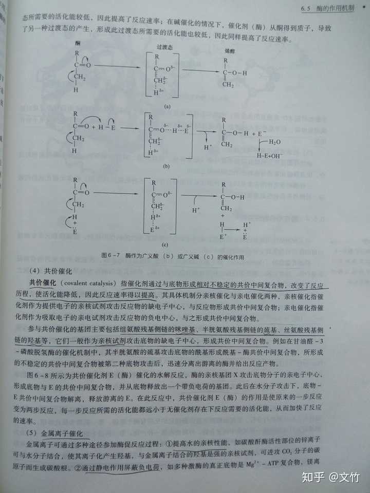 高二生物教案_高中音乐教案范文_高中生物教案范文