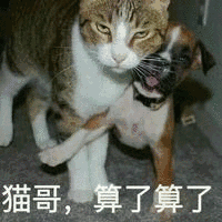 有哪些表情包让你觉得特别沙雕