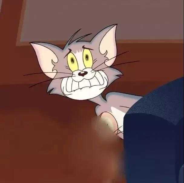 有哪些好看高清的猫和老鼠的头像?