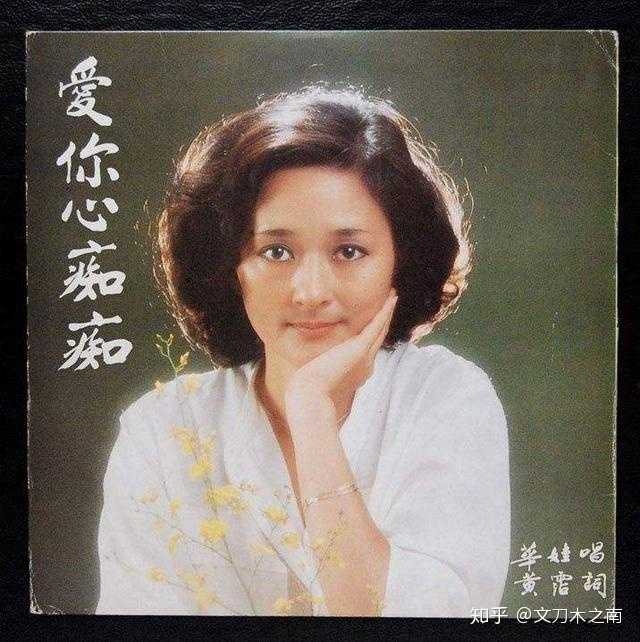 谁承想在华娃怀有三女儿黄宇诗时,黄霑爱上了香港鼎鼎大名的才女