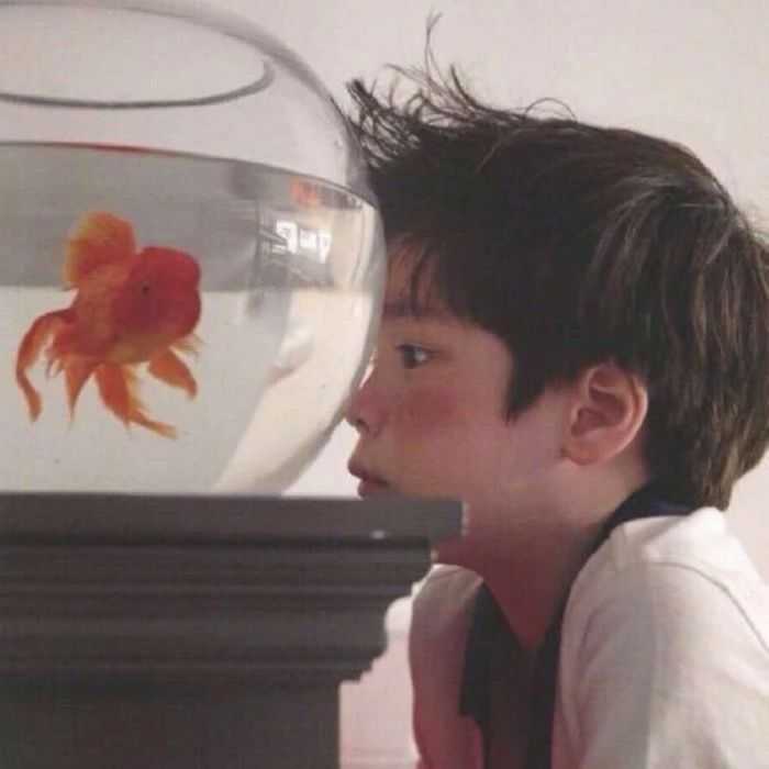求,高逼格,冷门一点,ins风男头像?日韩简约一点的?