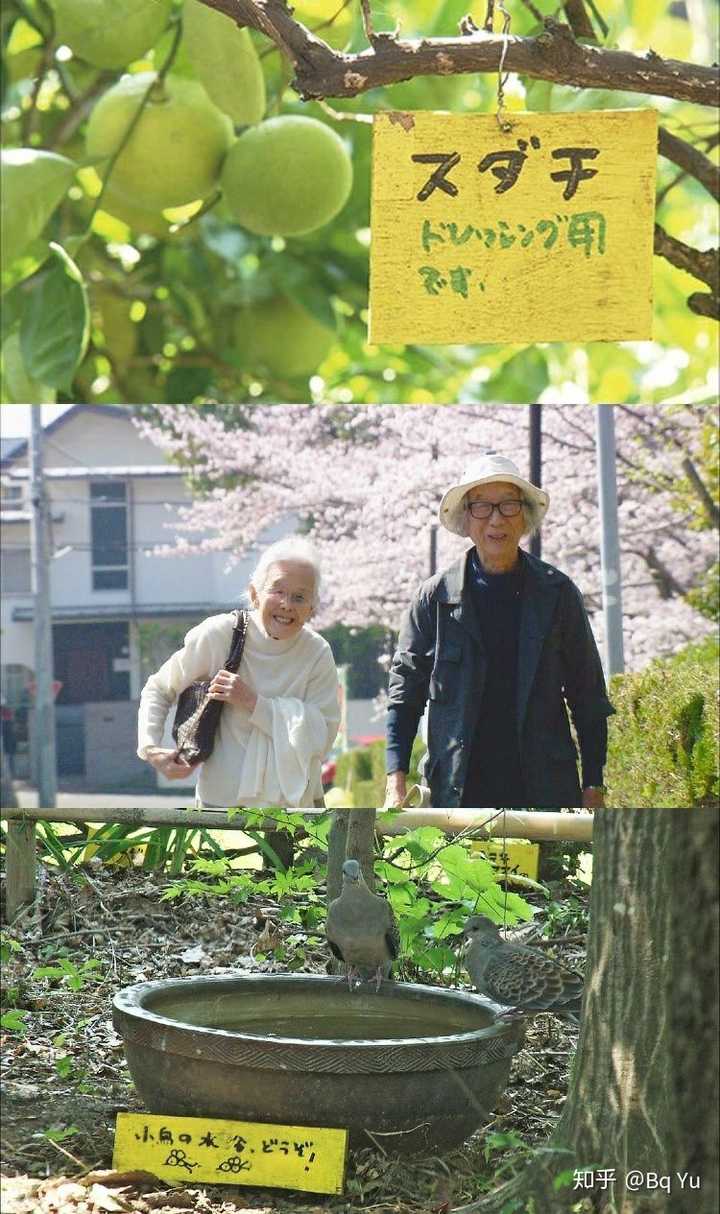 《人生果实》