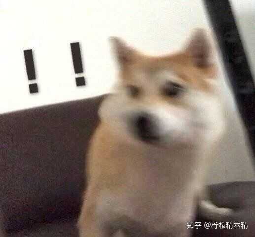 我他妈当时心态崩了