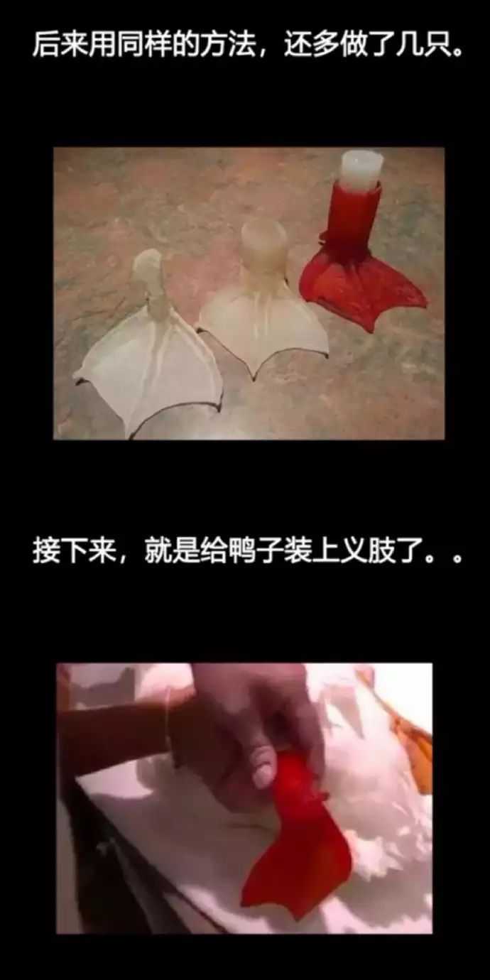 有什么能让人笑破肚皮的笑话?