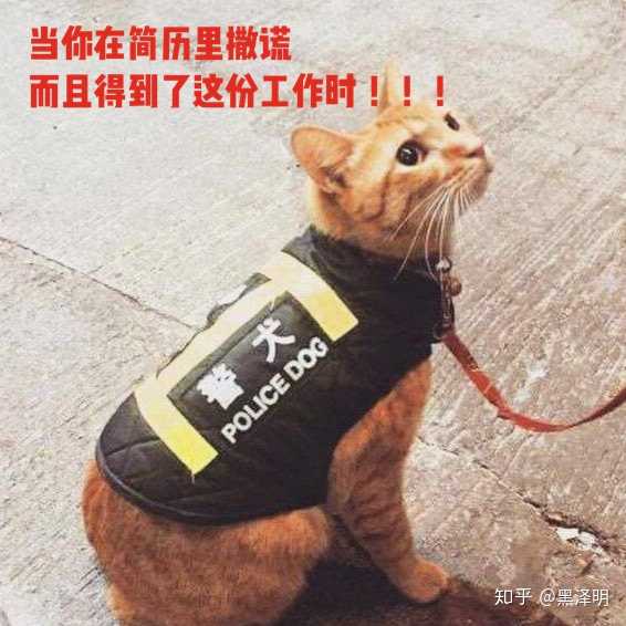 有哪些让人笑到肚子疼的搞笑图片?
