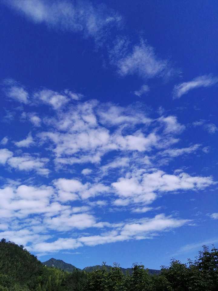 憋问我为什么要踩着阳台 看到好看的天空 不管是现实还是照片 整颗心