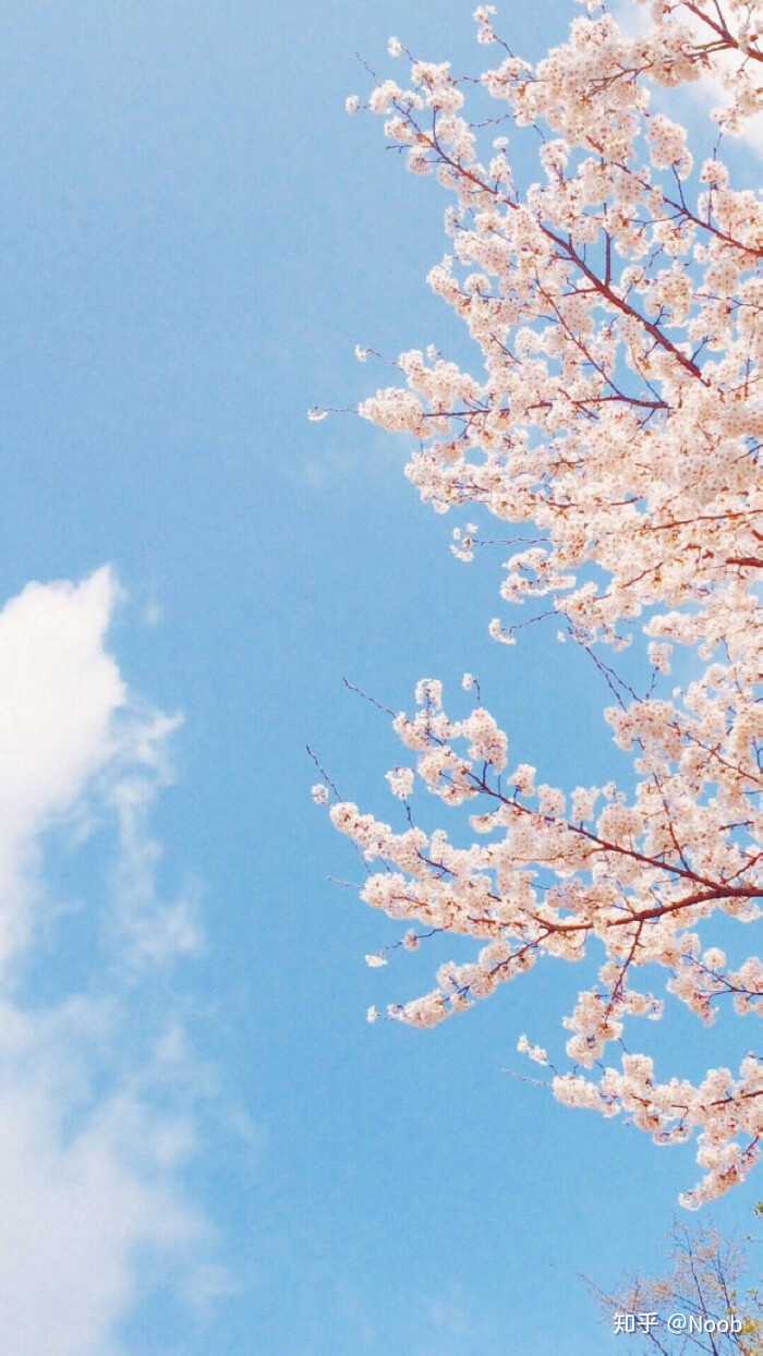 有哪些好看的日系背景图片?