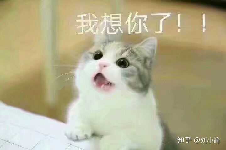 有什么撩妹套路表情包之类的分享一下?