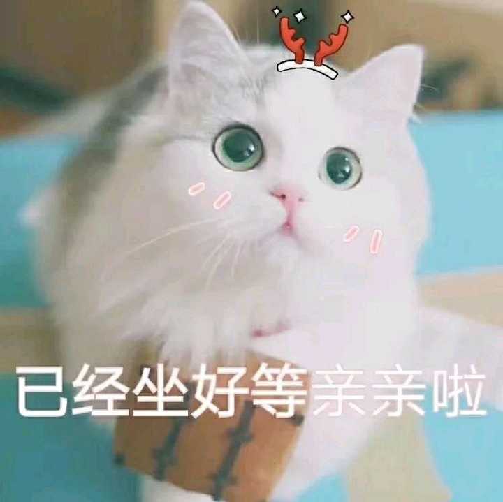 有没有给女朋友亲亲的表情包?