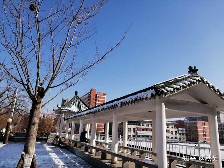 山东政法学院的校园环境如何