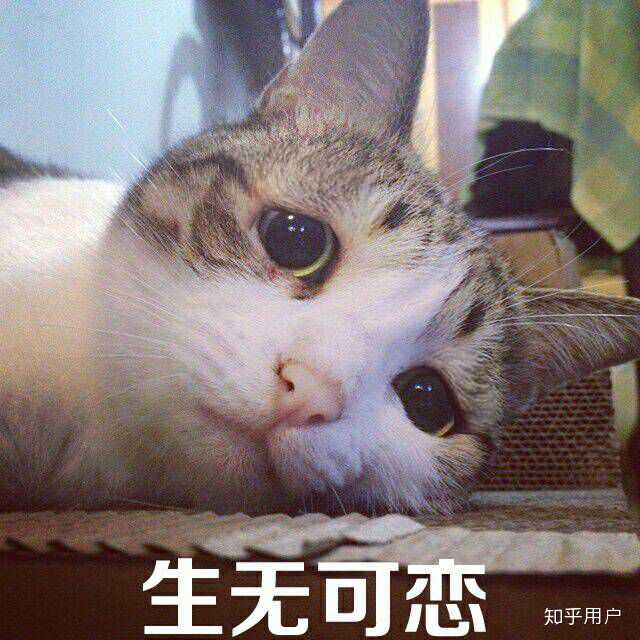 男生对梦遗有什么对策吗,只能洗内裤?