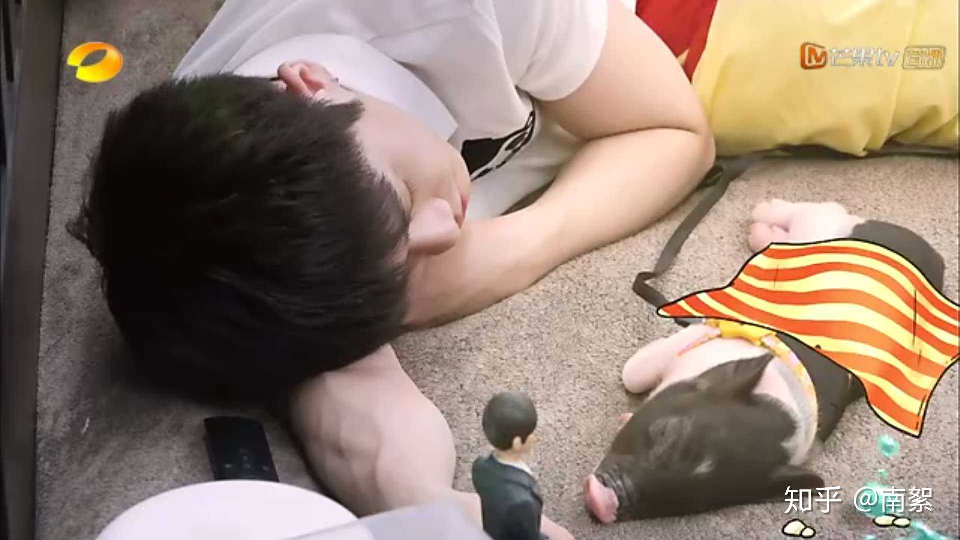 我家那小子# ,我居然羡慕这只小花猪,武艺也太可爱了