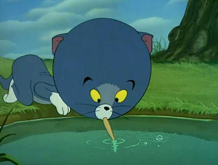 导致我现在手机截图里有一半是猫和老鼠  头一次回答带这么多图哈哈