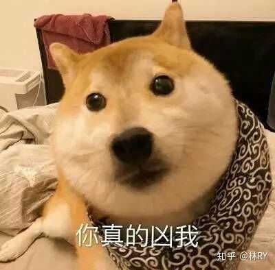 有哪些令人又气又巨笑的表情包?