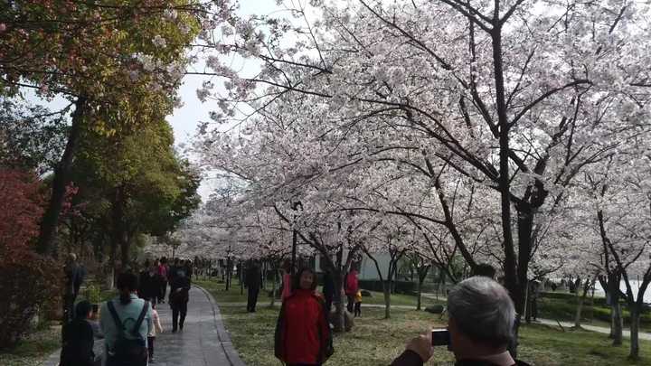 过年去南京玩有什么值得玩的地方以及别考虑的景点?