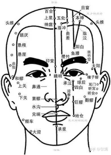 "头面部是人体经络气血循行交会的要冲之地,如果面部经络通畅,气血