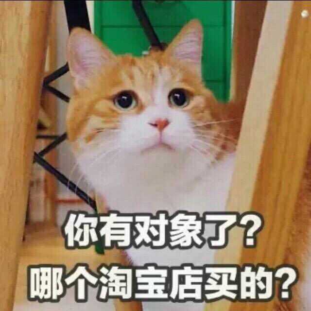 说的不就是我吗? 真的缺对象