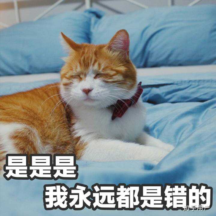 有哪些可爱的猫猫表情包?