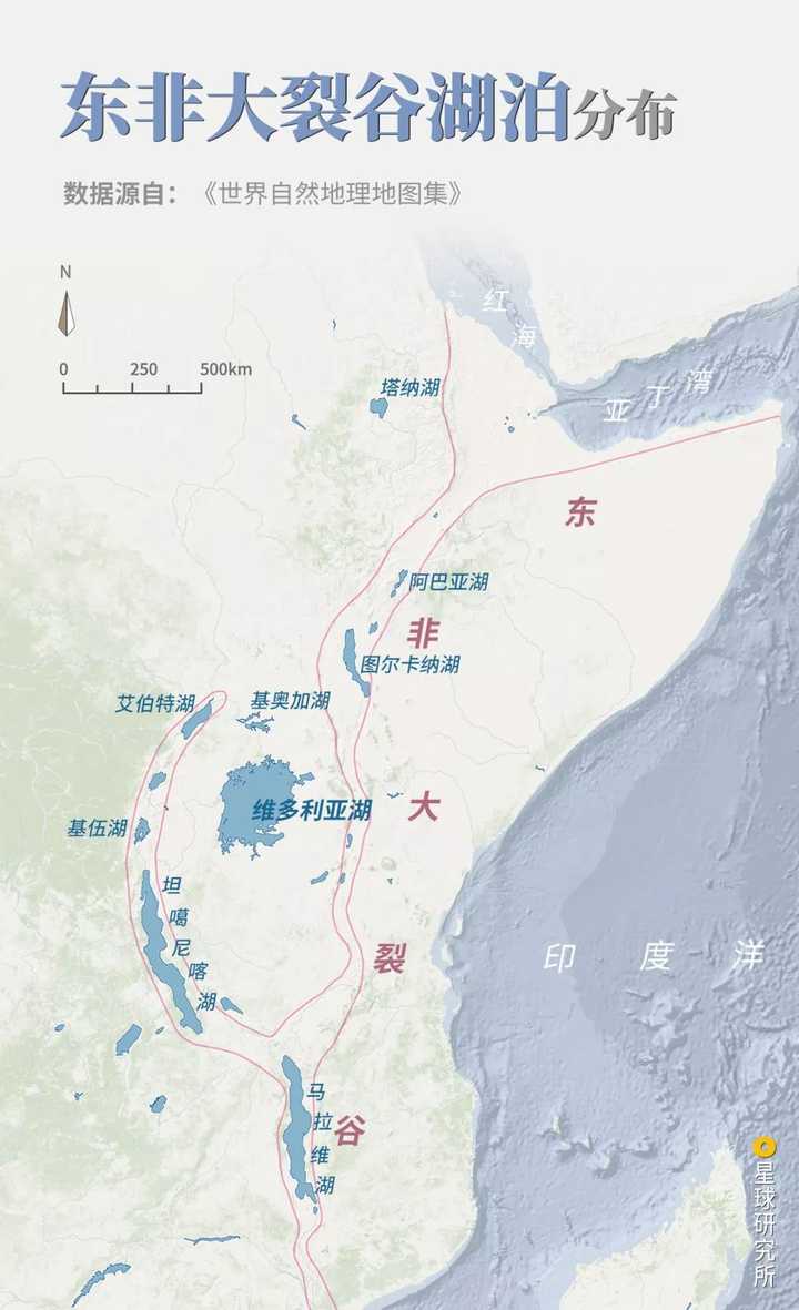 非洲野生动物大迁徙都有哪些有意思的看点