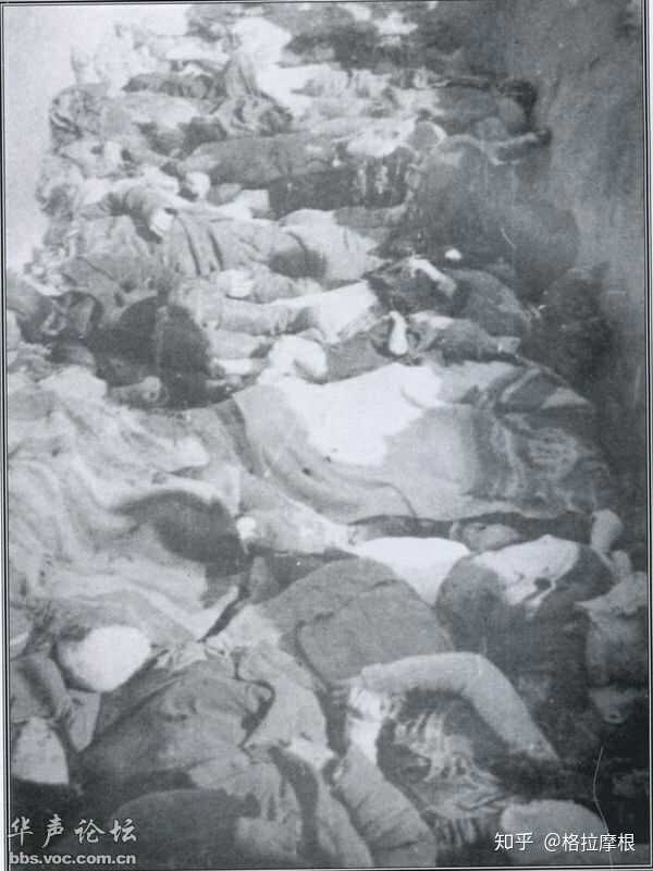 这是当年沃伦屠杀的一些照片,真正吓人的我就不放出来了 (波兰的第一