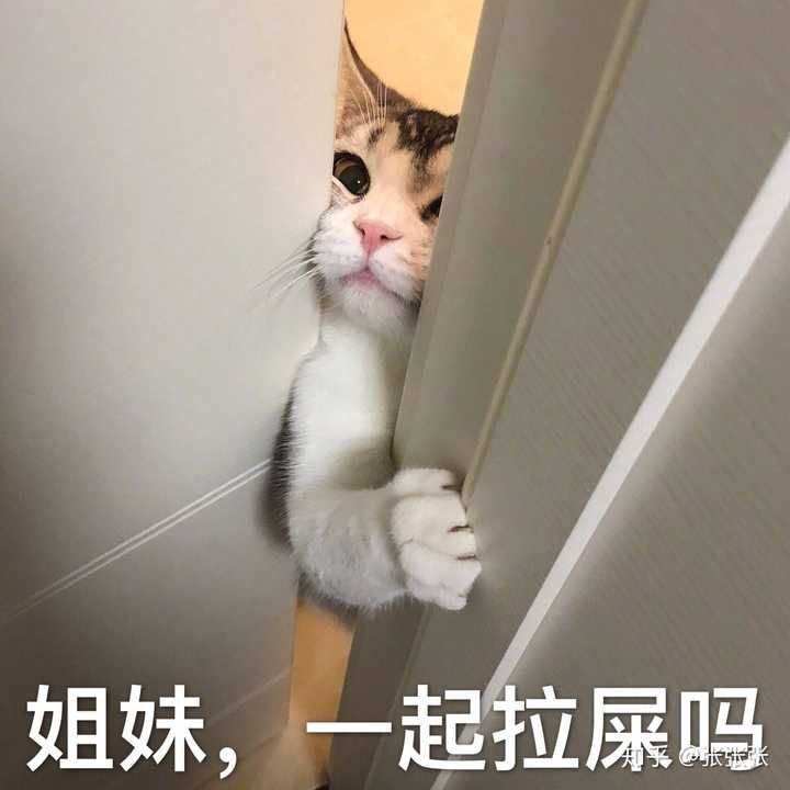 你们有什麼独特的沙雕表情包?