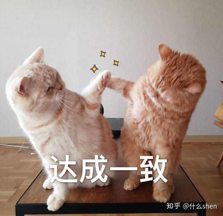 撩我家狗子的不知不觉间存了好多图,(小套路中参杂些许去幼儿园的车