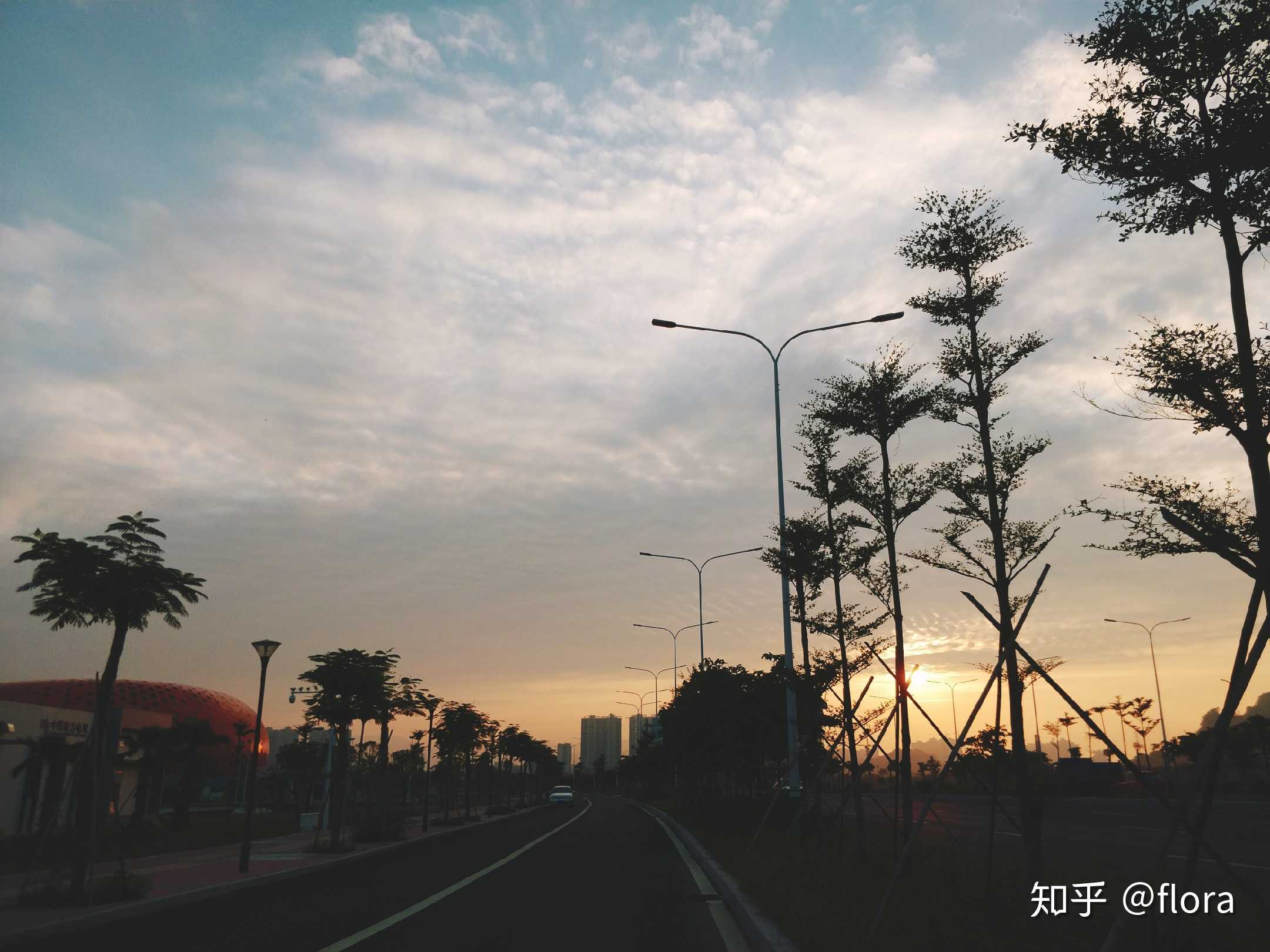 晨跑·日出