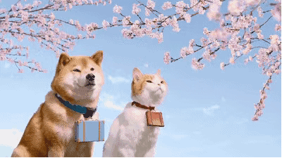 点个赞再走嘛