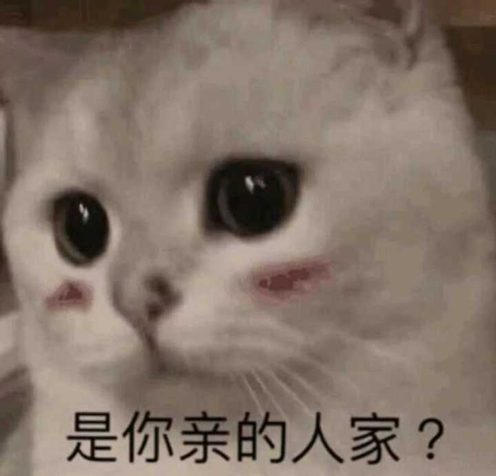 可不可以用一组表情包来描述一下你的大学生活?