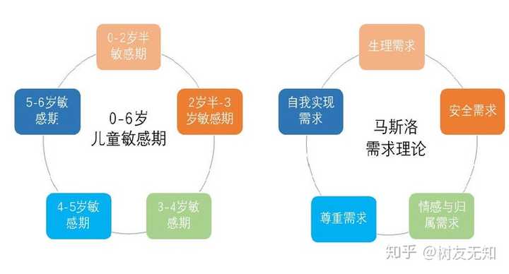 4个方面的敏感期,社会规范敏感期,数学敏感期,文化敏感期和自然敏感期