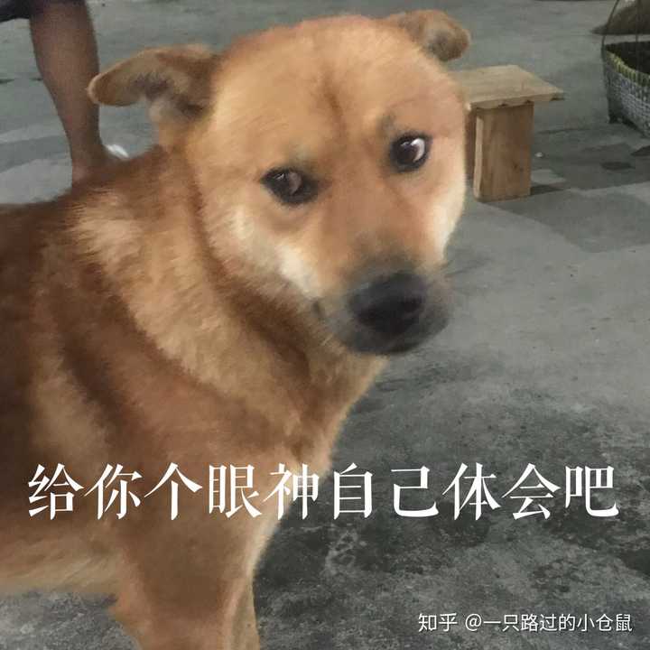 接下去上一波表情包