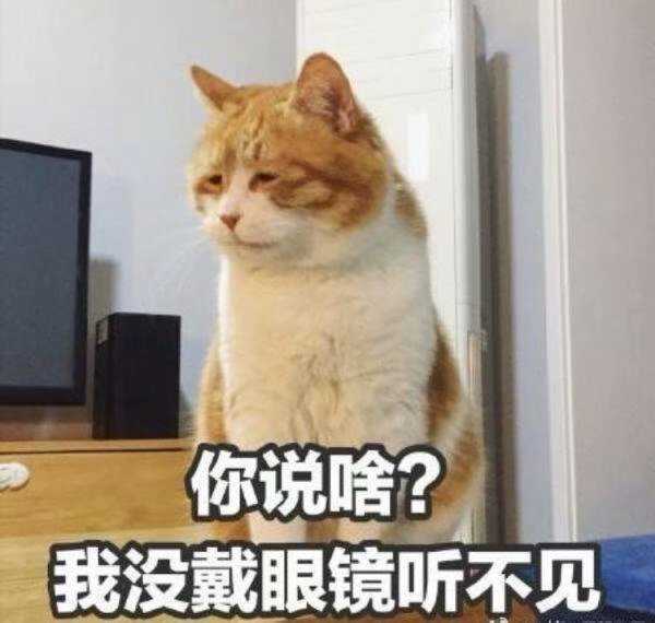 你手机里最搞笑的表情包有哪些(可以关闭水印吗)?