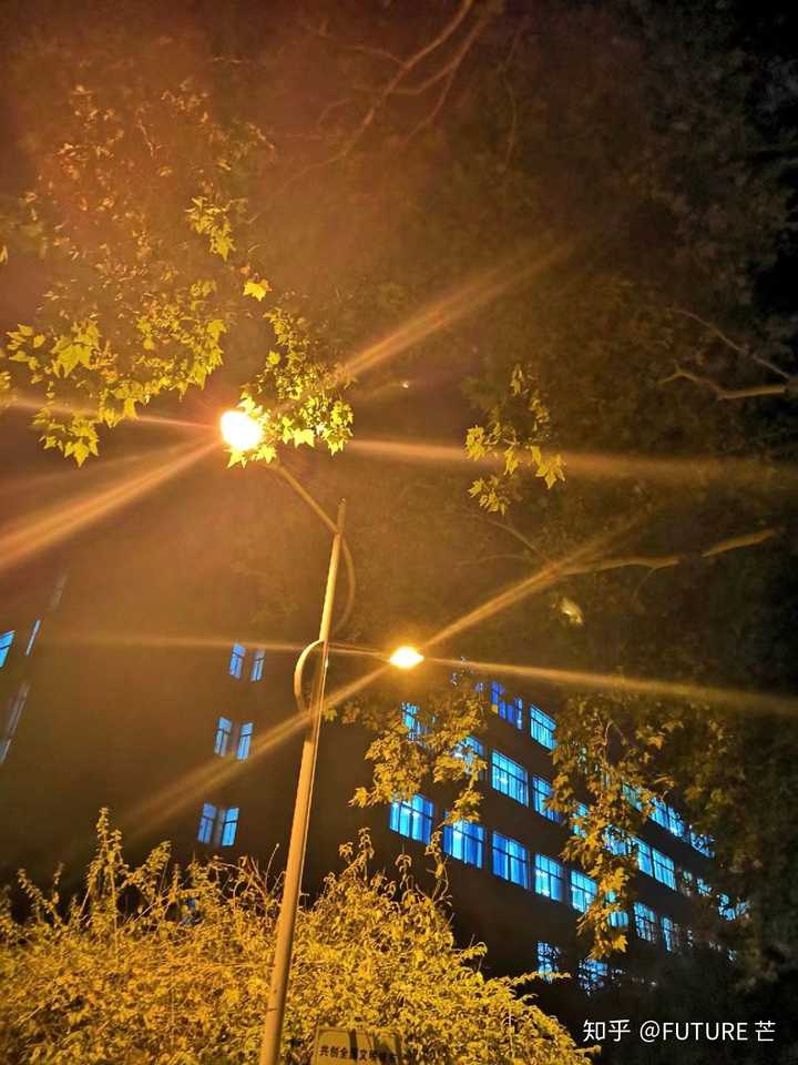 炎热的暑假 傍晚一缕阳光 透过窗户缝照射进来  我在楼道背书