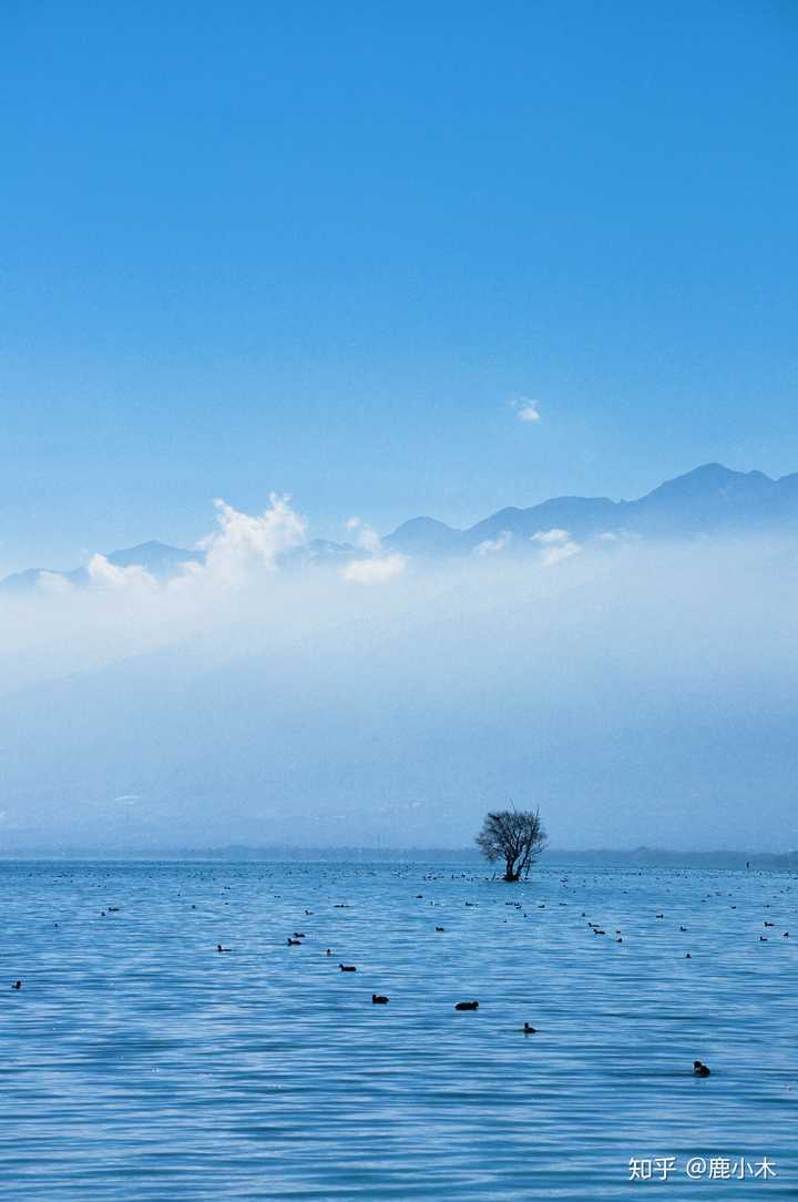 能发一张你照过的最好看的风景吗?