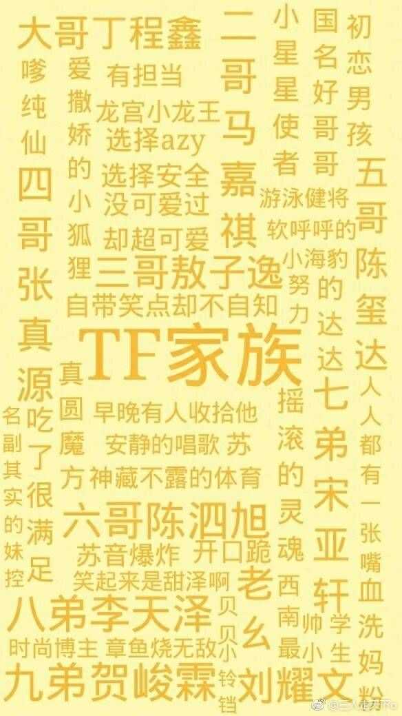 如何看待tf家族新成员宋文嘉?