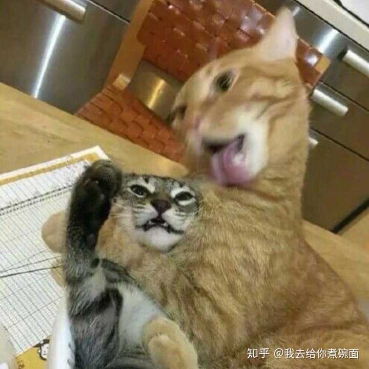有没有好看并且沙雕的情头?