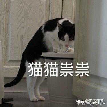 如何看待b站up主活"活蹦乱跳的肥瞳"?