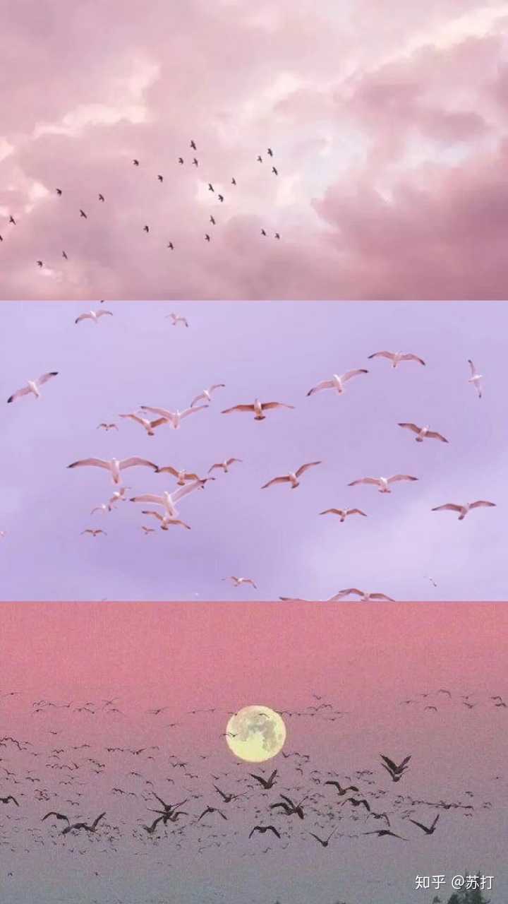 ùЩÿըѵֻֽ