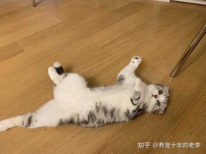 香肠嘴元宵