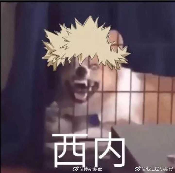 你都存了哪些沙雕表情包?