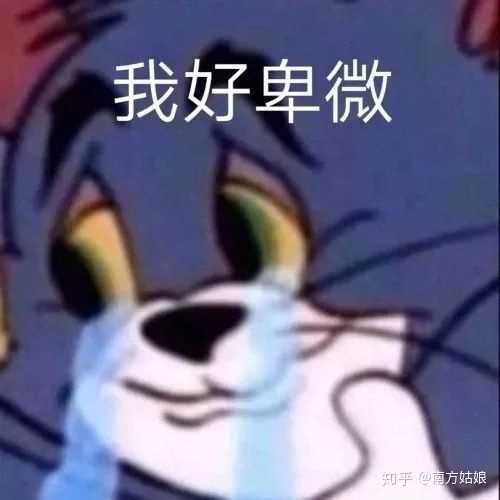 有没有一些沙雕的句子?