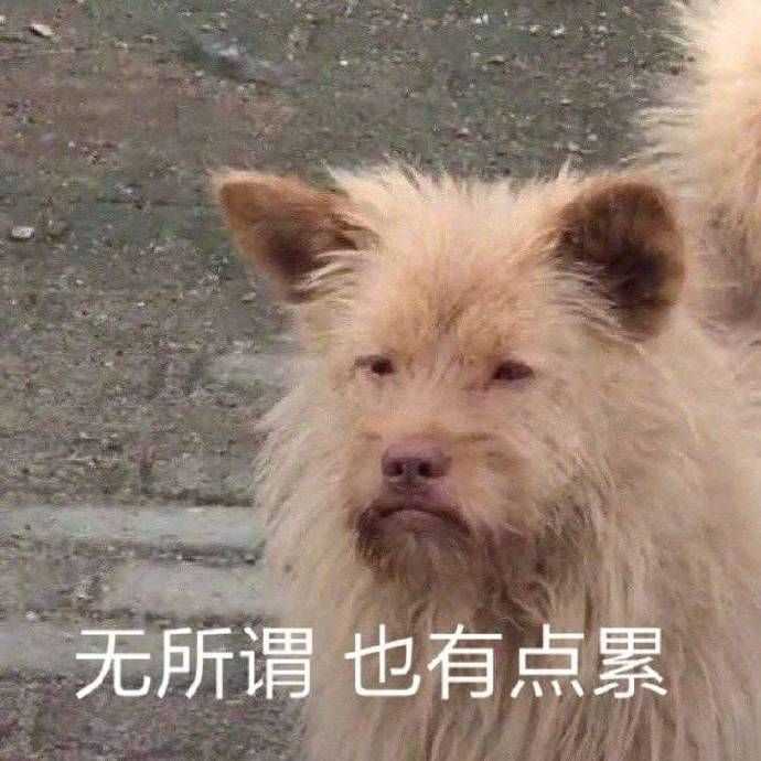 有没有让人一看就忍不住笑的表情包?