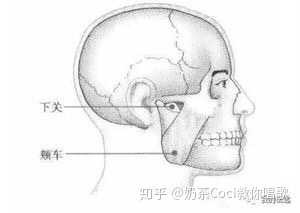 唱歌如何打开牙关