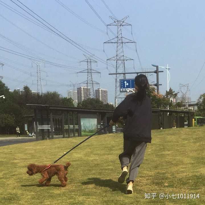 有没有女孩子抱着狗狗的头像,越多越好?