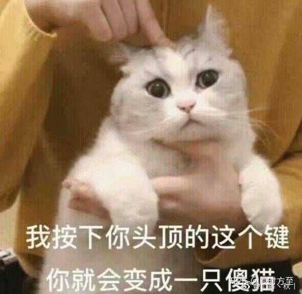 有没有一些可爱的情侣头像?