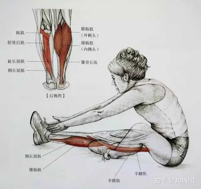 怎样拉伸小腿肌肉?