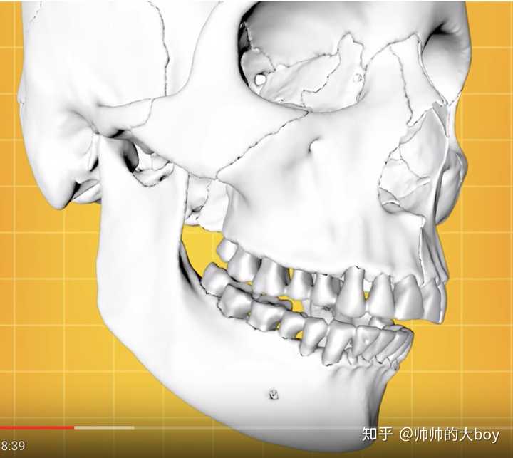 明白了这个,我们再来看看舌头正确的位置,应该是 在嘴唇闭合的时候